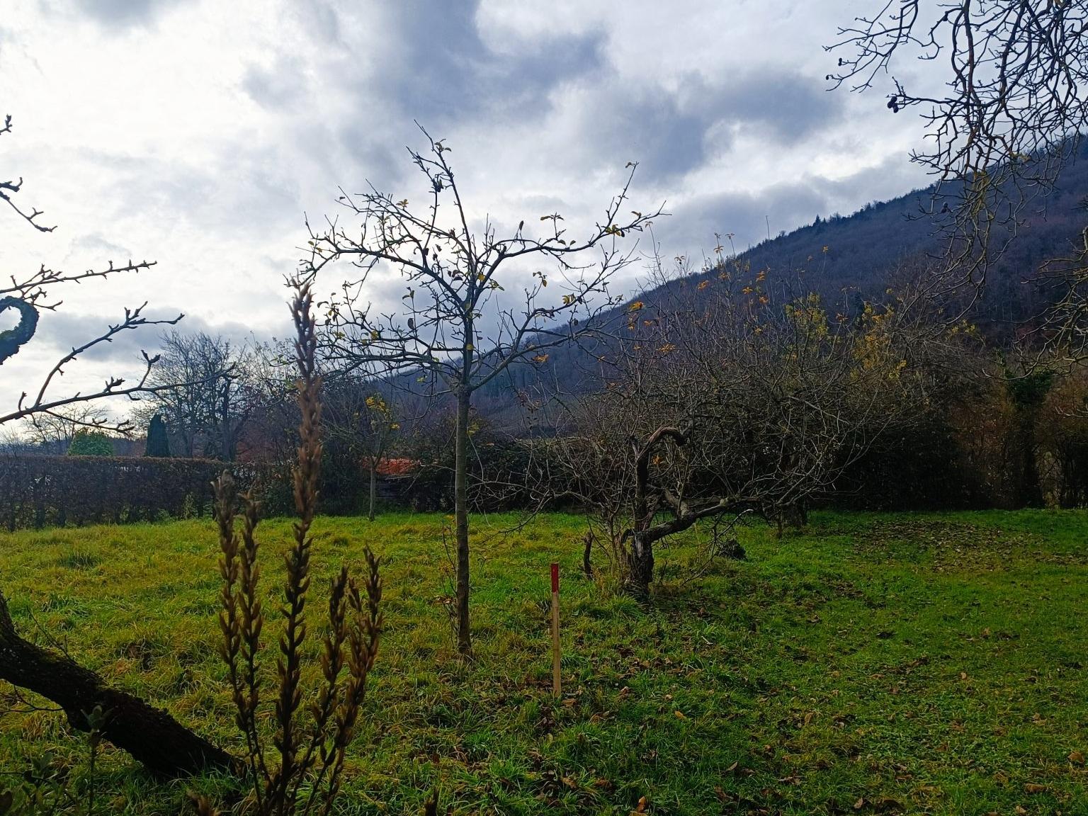 Terrains à vendre à Châtenois
Terrain diffus Rue de Kintzheim