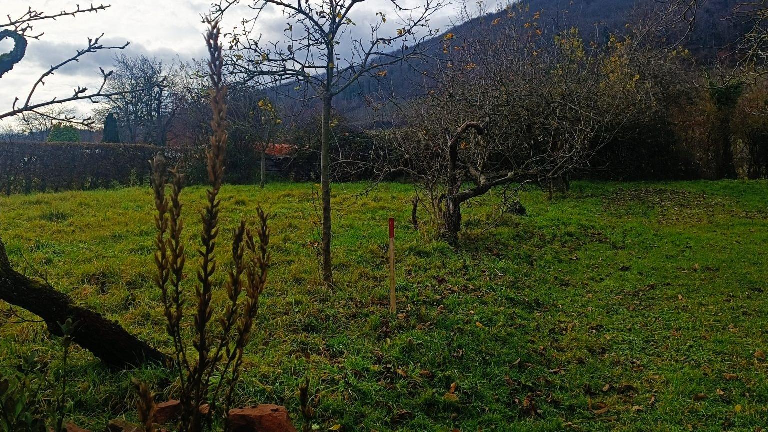 Terrains à vendre à Châtenois
Terrain diffus Rue de Kintzheim