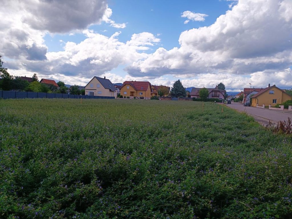 Terrain de 420m² Ebersheim