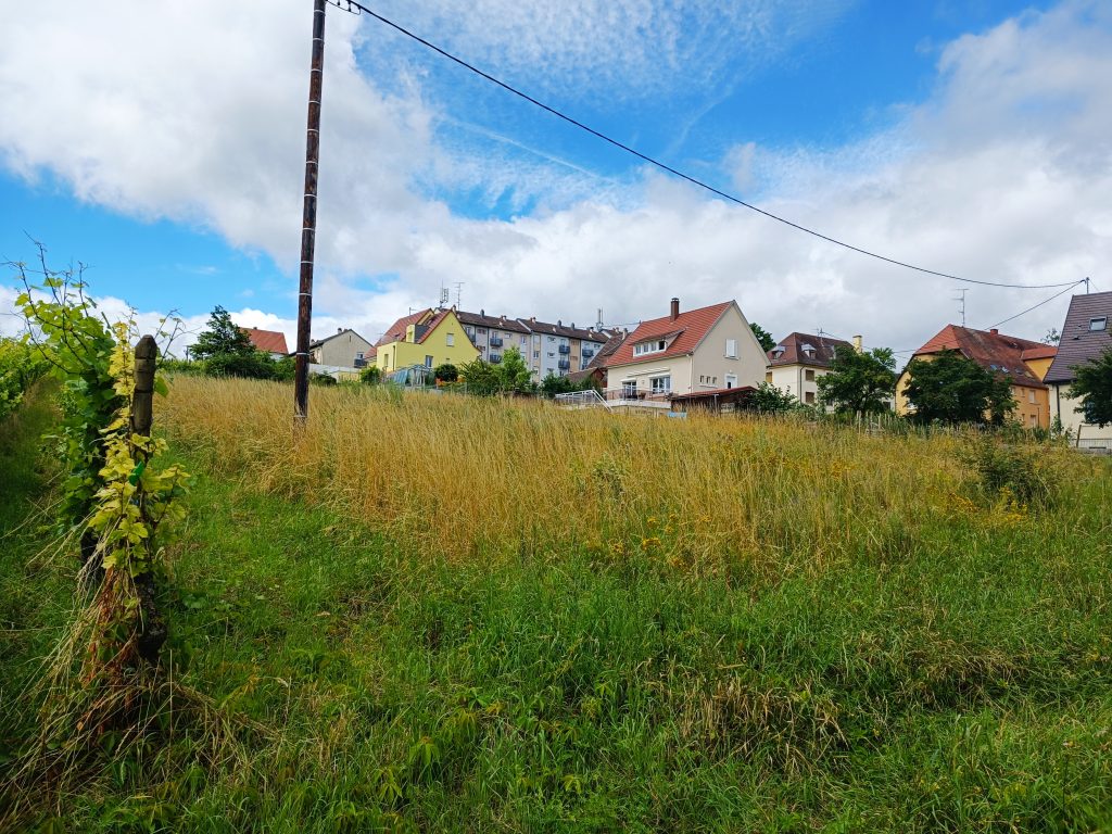 Terrain de 1679m² RIBEAUVILLE