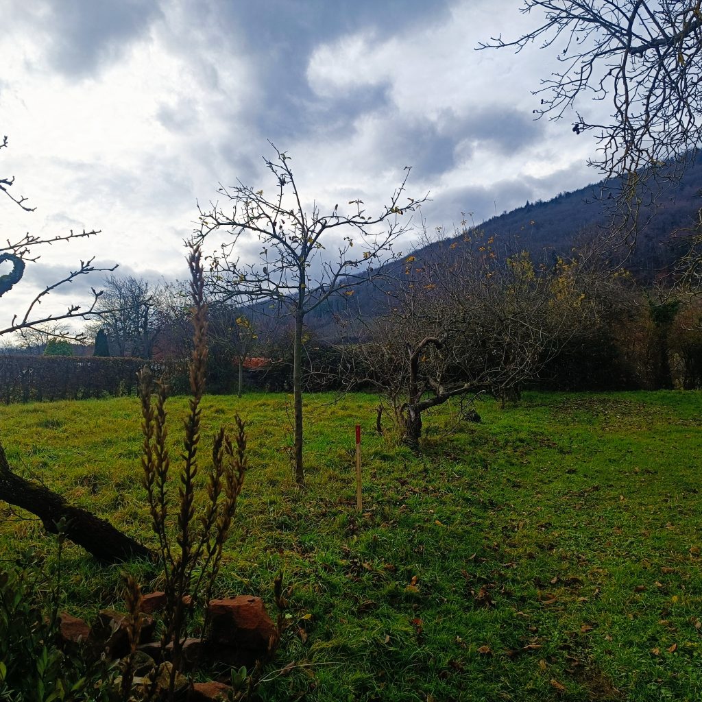 Terrain de 617 m² à CHATENOIS