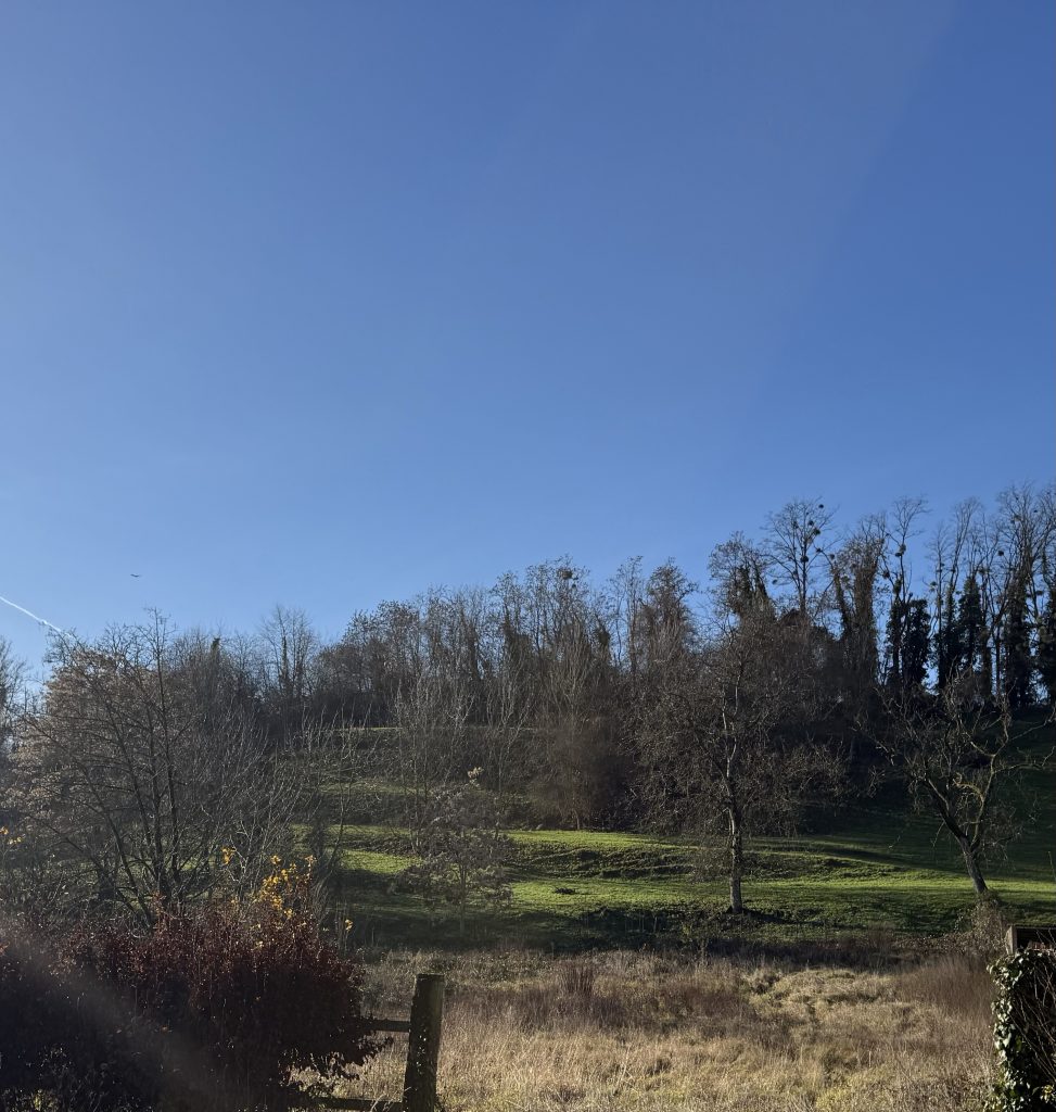 Terrain de 753m²  Rue D&rsquo; Allschwil à HEGENHEIM